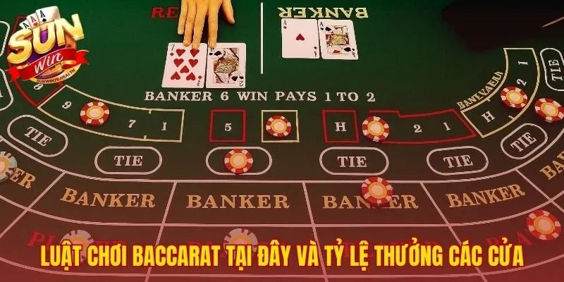 Chiến thuật thắng Baccarat SUNWIN bắt đầu từ luật chơi cơ bản